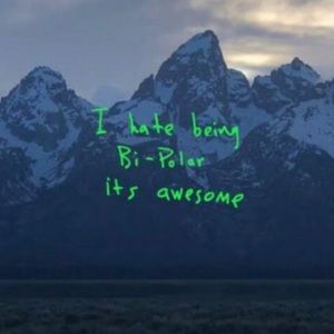 Meet your Posher, Oscar